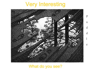 Very Interesting

                    P
                    u
                    d
                    d
                    l
                    e




 What do you see?
 