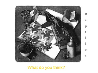 R
                     e
                     p
                     t
                     i
                     l
                     e
                     s


What do you think?
 