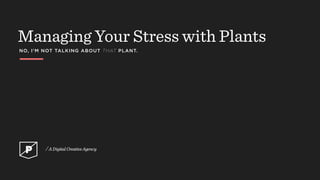 Managing Your Stress with Plants
NO, I’M NOT TALKING ABOUT THAT PLANT.
 
