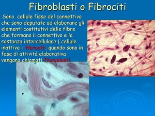 Tessuti 20connettivi[1] (1) | PDF
