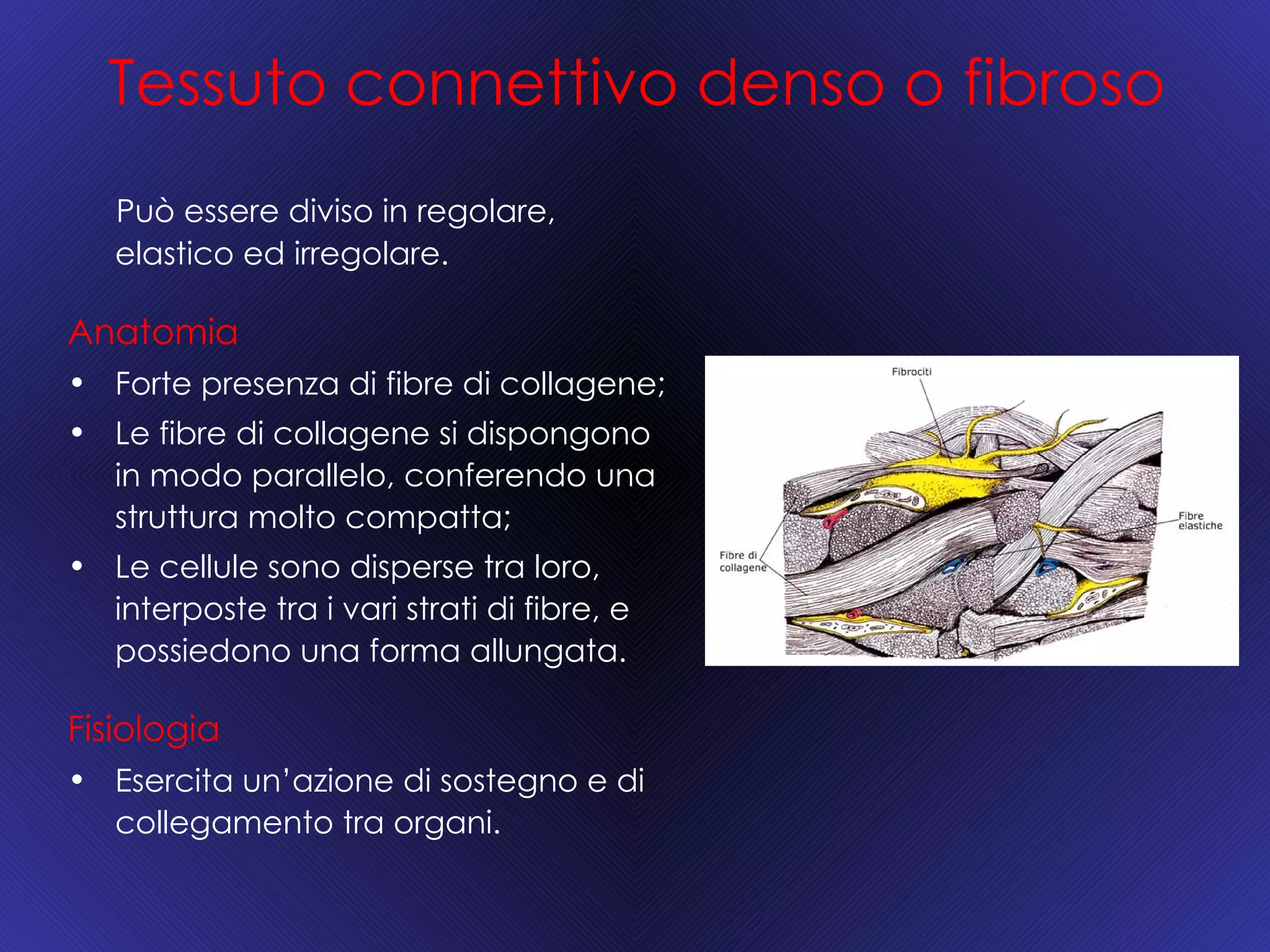 Fascia In Tessuto Per Capelli "Dottore" – Cerchietto Morbido E Colorato Per Bambini, Gioco Di Ruolo, 3 Colori Assortiti, Di&Gi