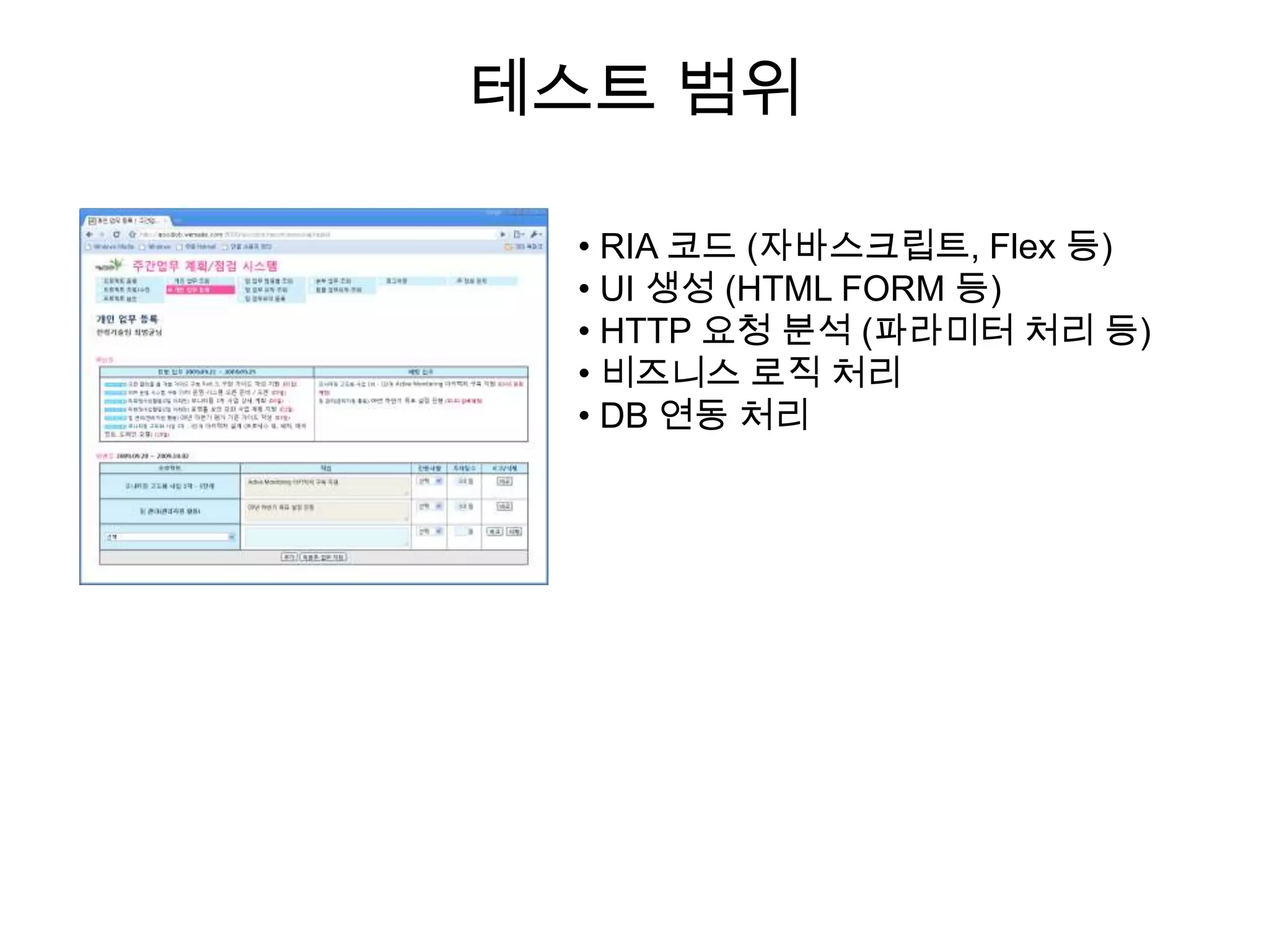 테스트범위 RIA 코드 (자바스크립트, Flex 등)