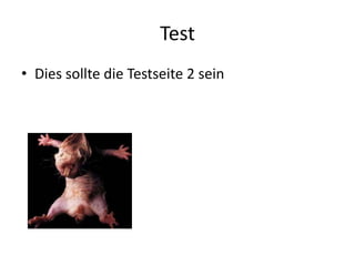 Test
• Dies sollte die Testseite 2 sein
 