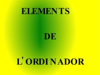 ELEMENTS  DE L'ORDINADOR 