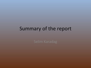Summary of the report Selim Karadag 