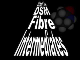 What is DSM Fibre Intermediates 