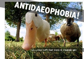 ANTIDAEOPHOBIA!
a.k.a HOLY SH*T THAT DUCK IS STALKING ME!
 