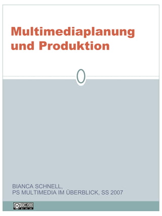 BIANCA SCHNELL,  PS MULTIMEDIA IM ÜBERBLICK, SS 2007 Multimediaplanung und Produktion  