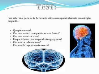 Para saber cual parte de tu hemisferio utilizas mas puedes hacerte unas simples
preguntas


  •   Que pie mueves?
  •   Con cual mano crees que tienes mas fuerza?
  •   Con cual mano escribes?
  •   En que te basas para responder tus preguntas?
  •   Como es tu vida amorosa?
  •   Como es de organizado tu cuarto?
 