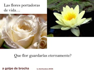 Que flor guardarías eternamente?
a golpe de brocha tu distribuidora AVON
Las flores portadoras
de vida…
 