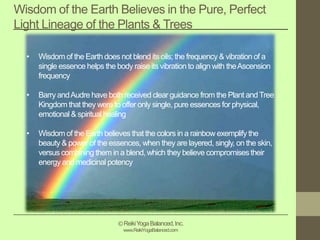 Wisdom of the Earth Believes in the Pure, Perfect
Light Lineage of the Plants & Trees
• Wisdom of the Earth does not blend its oils; the frequency & vibration of a
single essence helps the body raise its vibration to align with theAscension
frequency
• Barry andAudre have both received clear guidance from the Plant and Tree
Kingdom that they were to offer only single, pure essences for physical,
emotional & spiritual healing
• Wisdom of the Earth believes that the colors in a rainbow exemplify the
beauty & power of the essences, when they are layered, singly, on the skin,
versus combining them in a blend, which they believe compromises their
energy and medicinal potency
©ReikiYogaBalanced,Inc.
www.ReikiYogaBalanced.com
 