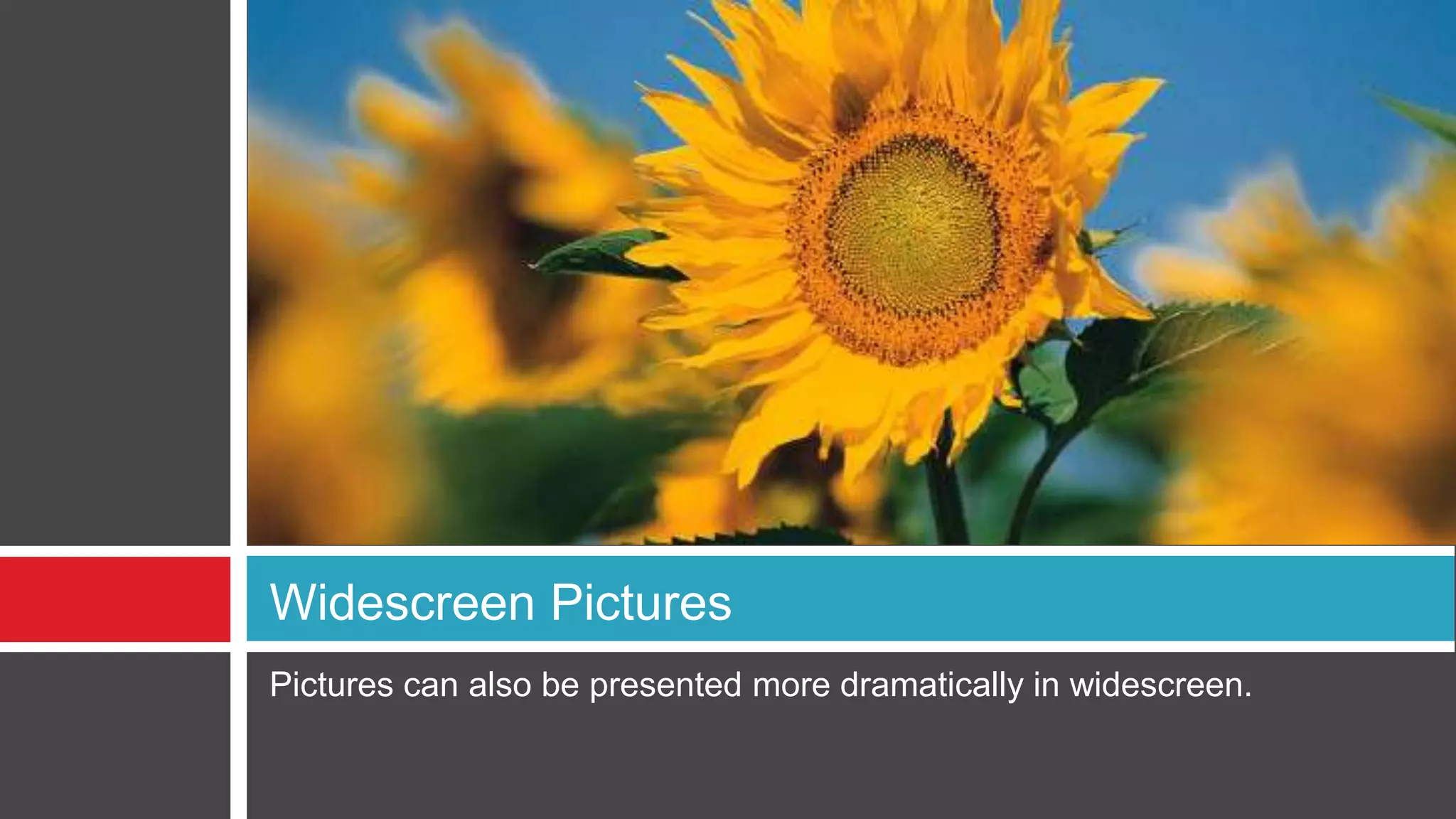 Pictures can also be presented more dramatically in widescreen.
Widescreen Pictures
 