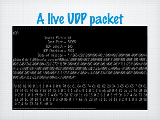 A live UDP packet
 