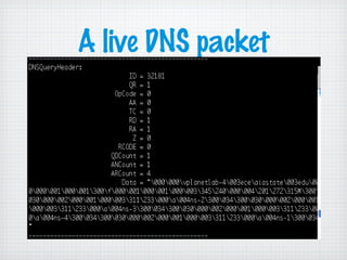 A live DNS packet
 
