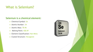 Test Automation and Selenium | PPTX