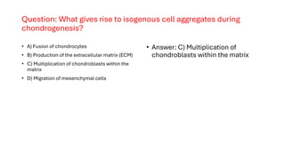 Isogeneous Aggregates TEST-BANK-CARTILAGE TISSUES NOTES 2025.pdf