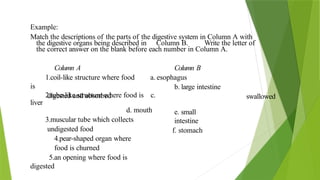 Example:
Match the descriptions of the parts of the digestive system in Column A with
the digestive organs being described in Column B. Write the letter of
the correct answer on the blank before each number in Column A.
Column A
1.coil-like structure where food
is
digested and absorbed
Column B
a. esophagus
b. large intestine
2.tube-like structure where food is c.
liver
d. mouth
3.muscular tube which collects
undigested food
4.pear-shaped organ where
food is churned
5.an opening where food is
digested
swallowed
e. small
intestine
f. stomach
 