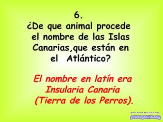 6.  ¿De que animal procede  el nombre de las Islas Canarias,que están en   el  Atlántico? El nombre en latín era  Insularia Canaria  (Tierra de los Perros). 