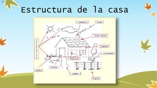 Estructura de la casa
 