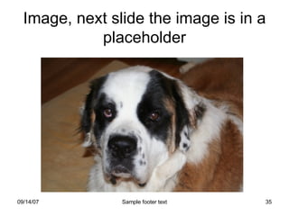 Image, next slide the image is in a placeholder 