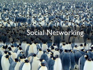 Social Networking
 