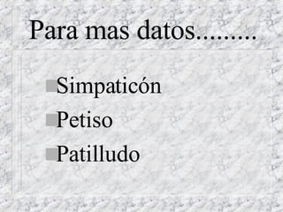 Para mas datos......... Simpaticón  Petiso Patilludo 
