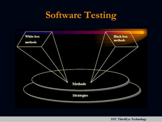 Software Testing 