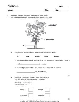 Test photosynthesis | PDF