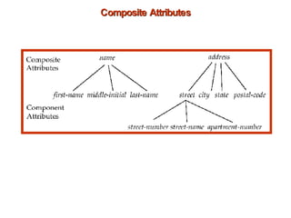 Composite Attributes 