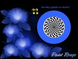 Are they spirals or circles? 