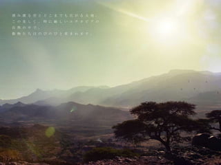 澄 み 渡 る 空 と ど こ ま で も 広 が る 大 地 。
こ の 美 し く 、 時 に 厳 し い エ チ オ ピ ア の
自 然 の 中 で 、
動 物 た ち は の び の び と 育 ま れ ま す 。
 