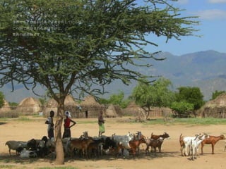 エチオピアはアフリカで一番、
世界でも１０番目に多く家畜を有している国。
この国で産出される革はすべて、
食肉の副産物です。
 