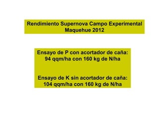 Rendimiento Supernova Campo Experimental
             Maquehue 2012



   Ensayo de P con acortador de caña:
     94 qqm/ha con 160 kg de N/ha


   Ensayo de K sin acortador de caña:
     104 qqm/ha con 160 kg de N/ha
 