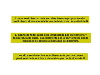 Los requerimientos de N son directamente proporcional al
rendimiento alcanzado. A Más rendimiento más necesidad de N




  El aporte de N del suelo esta influenciado por pluviometría y
temperatura de suelo. Especialmente por la pluviometría desde
        mediados de octubre a mediados de diciembre.




   Los altos rendimientos se obtienen más por una buena
  pluviometría de octubre a diciembre que por la dosis de N
 
