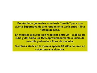 En términos generales una dosis “media” para una
avena Supernova de alto rendimiento varía entre 140 a
                 160 kg de N/ha.
En mezclas al surco con N aplicar entre 24 – a 28 kg de
N/ha y del saldo un 45 % aproximadamente a inicio de
        macolla y el resto a fines de macolla.
Siembras sin N en la mezcla aplicar 80 kilos de urea en
               cobertera a la siembra.
 