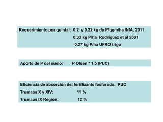 Requerimiento por quintal: 0.2 y 0.22 kg de P/qqm/ha INIA, 2011
                           0.33 kg P/ha Rodríguez et al 2001
                            0.27 kg P/ha UFRO trigo



Aporte de P del suelo:    P Olsen * 1.5 (PUC)




Eficiencia de absorción del fertilizante fosforado: PUC
Trumaos X y XIV:             11 %
Trumaos IX Región:           12 %
 
