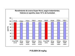 Rendimiento de avena Super Nova, según tratamientos.
                        Valores en qqm/ha, base 14 % de humedad.

         140

                111,6              112,4      114,3    112,4     114,3      113,8   115,4    115,1
         120               110,4

         100
qqm/ha




         80

         60

         40

         20

          0
               0 kg P2O5   50 kg   100 kg     200 kg   Dosis    0 kg P2O5   50 kg   100 kg   200 kg
                 surco     P2O5     P2O5       P2O5    m edia     voleo     P2O5     P2O5     P2O5
                           surco   surco      surco    surco                voleo   voleo    voleo




                                            P OLSEN 20 mg/kg
 