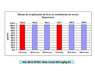Efecto de la aplicación de K en el rendimiento de avena
                                        Supernova.

         110,0    103,6       103,9         103,3        103,7       104,5         104,5
         100,0
          90,0
          80,0
          70,0
qqm/ha




          60,0
          50,0
          40,0
          30,0
          20,0
          10,0
           0,0
                 O K surco   50 K surco   100 K surco   O K voleo   50 K voleo   100 K voleo




                     Año 2012 UFRO: Valor inicial 203 mg/kg Ki.
 