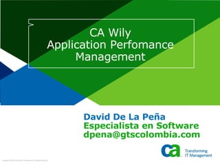 CA Wily Application Perfomance Management David De La Peña Especialista en Software [email_address] 