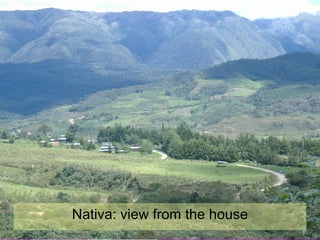 Nativa: view from the house 
