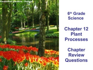 6 th  Grade Science  Chapter 12 Plant Processes Chapter Review Questions Keukenhof Gardens - Holland 