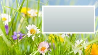 Test_2_Review_for_precal_ap_and_precalc.pptx