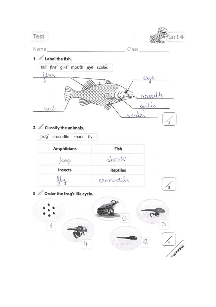 Test 4 Science 2 Resultados