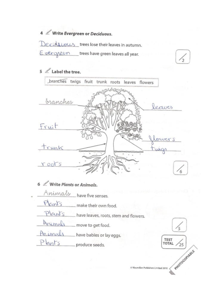 Test 5 Science 2 Resultados
