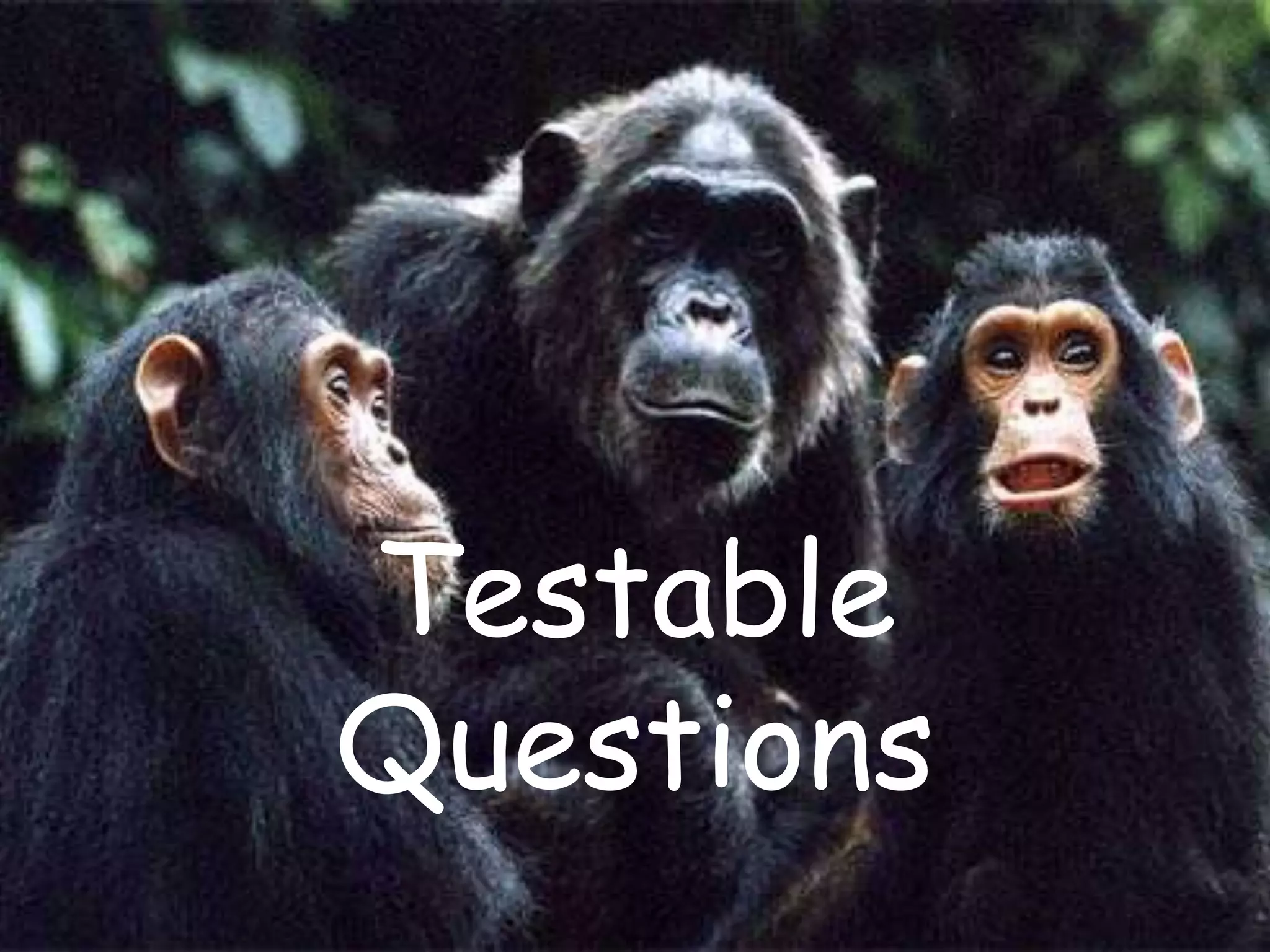 Testable Questions