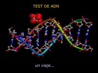 TEST DE ADN

un viaje...

 