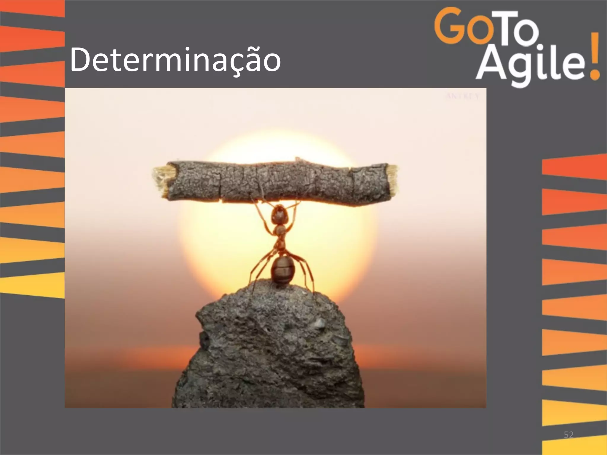 Determinação 
52 
 