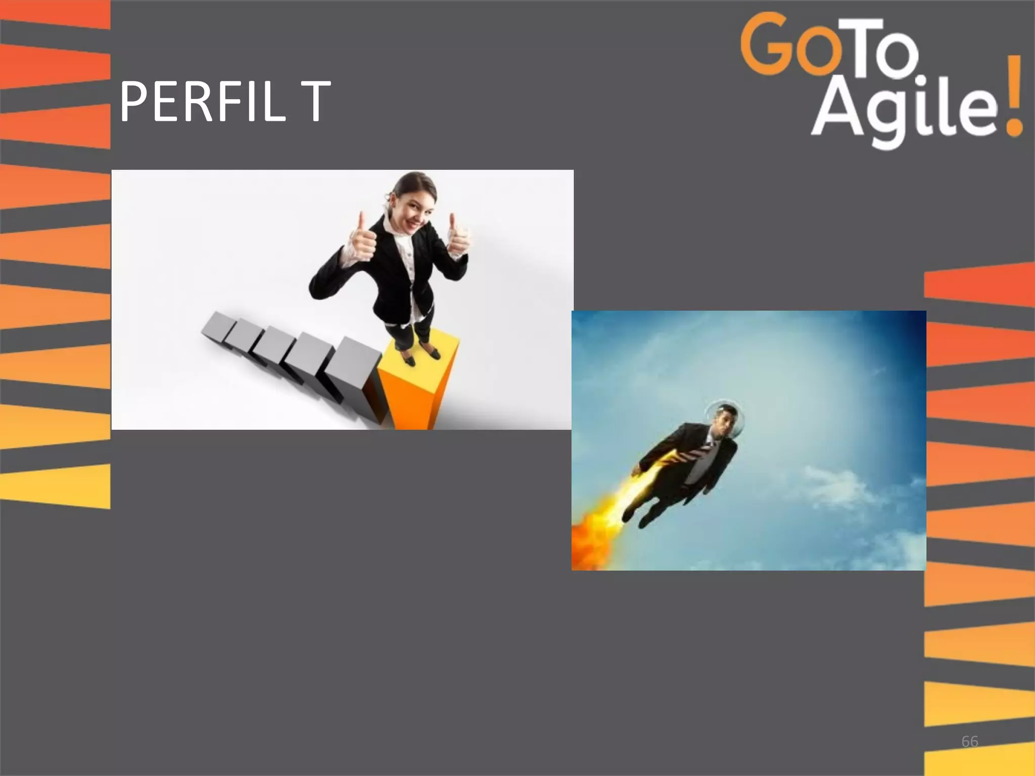 PERFIL 
T 
66 
 