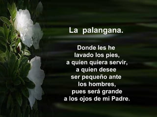 La  palangana. Donde les he lavado los pies, a quien quiera servir, a quien desee  ser pequeño ante los hombres, pues será grande a los ojos de mi Padre. 