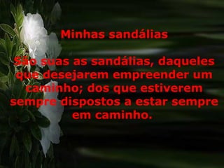 Minhas sandálias
São suas as sandálias, daqueles
que desejarem empreender um
caminho; dos que estiverem
sempre dispostos a estar sempre
em caminho.
 